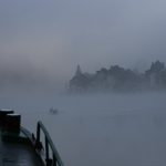 Schwanentanz im Morgennebel (Dinant, belgische Maas)