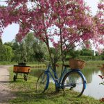 Idyll am Canal du Nivernais