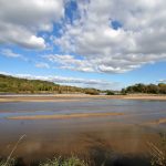 Bec d'Allier: Zusammenfluss von Allier und Loire