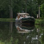 Im Wald bei Artaix (Canal de Roanne à Digoin)