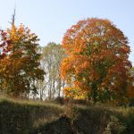 Altweibersommer im Burgund (Canal du Centre)