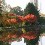 Altweibersommer im Burgund (Canal du Centre)