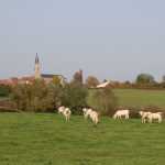 Altweibersommer im Burgund (Canal du Centre)