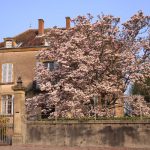 The doctor's house in Melay