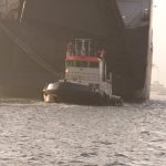 In the harbor of Antwerp