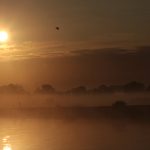 Morning mist in Meerkerk (Merwedekanaal bezuiden de Lek)