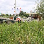 Marrekrite-Liegeplatz in Friesland