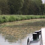 Herbststimmung auf dem Canal latéral à la Loire