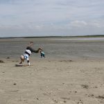 Baie de Somme bei Saint-Valery-sur-Somme