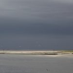 Baie de Somme bei Saint-Valery-sur-Somme