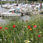 Port maritime de Saint Valery-sur-Somme