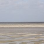 Baie de Somme bei Saint-Valery-sur-Somme