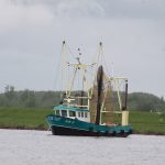Fischkutter im Gooimeer (NL)