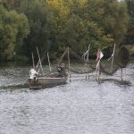 Berufsfischer auf der Havel (D)