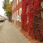 Herbst in Potsdam