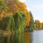 Herbst an der Dahme Wasserstrasse