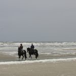 Insel Terschelling