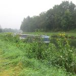 Frachtschiff auf dem Elbe-Lübeck-Kanal