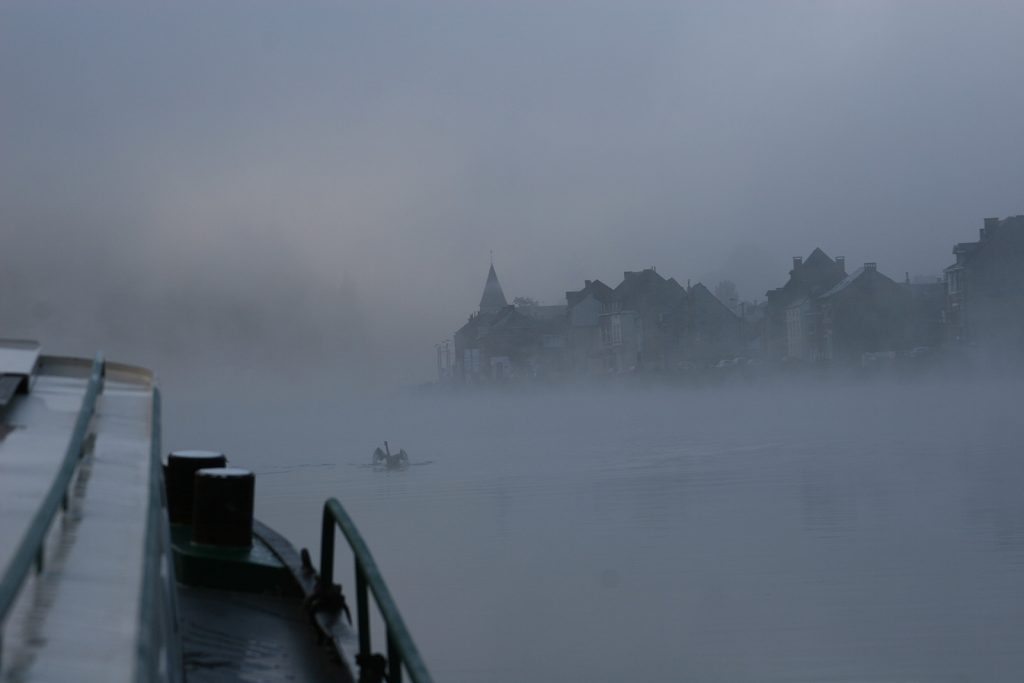 Schwanentanz im Morgennebel (Dinant)