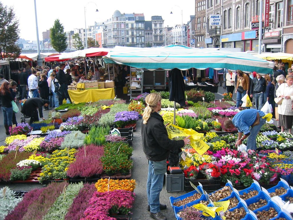 Die «Gärtnereiabteilung» des Marktes