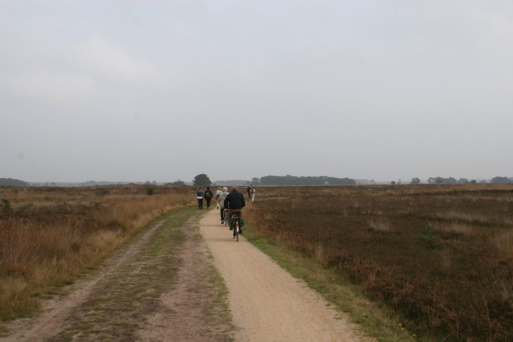 In der Strabrechtschen Heide