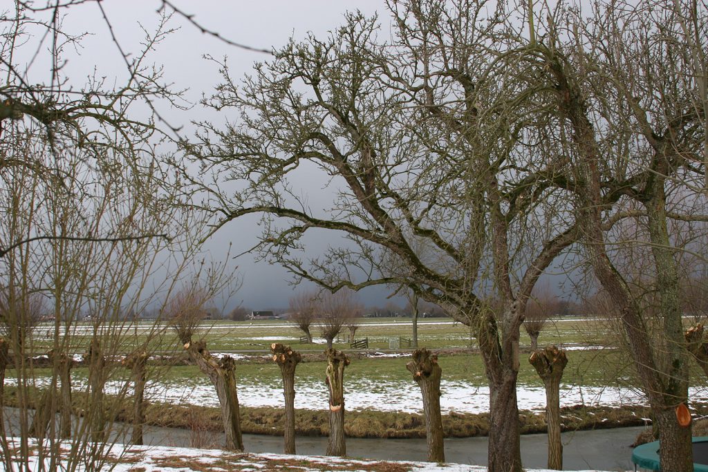 Eine schwarze Wand kündigt einen Schneesturm an