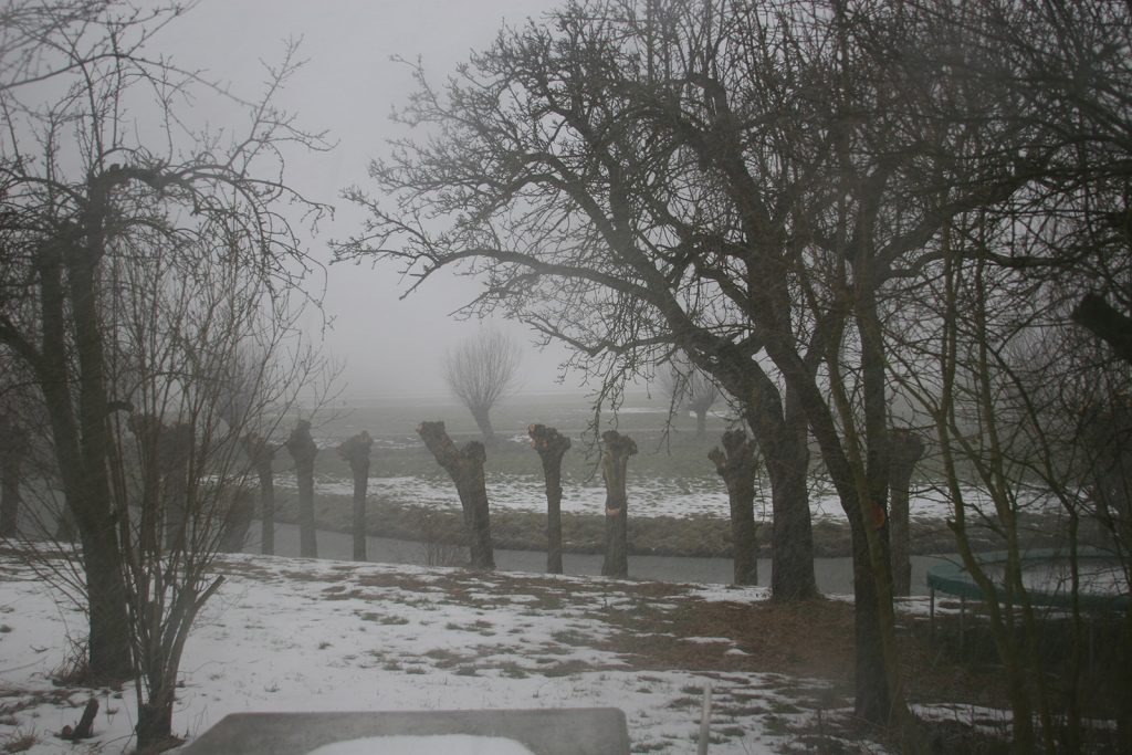 Der Schneesturm fegt über das Land