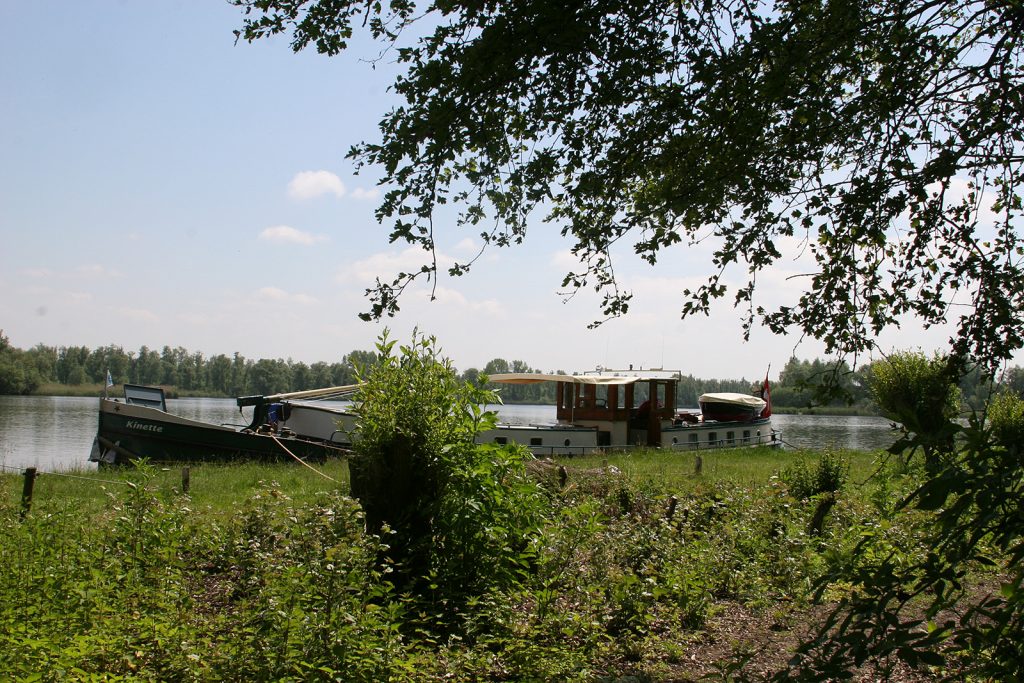 Natur pur im Biesbosch