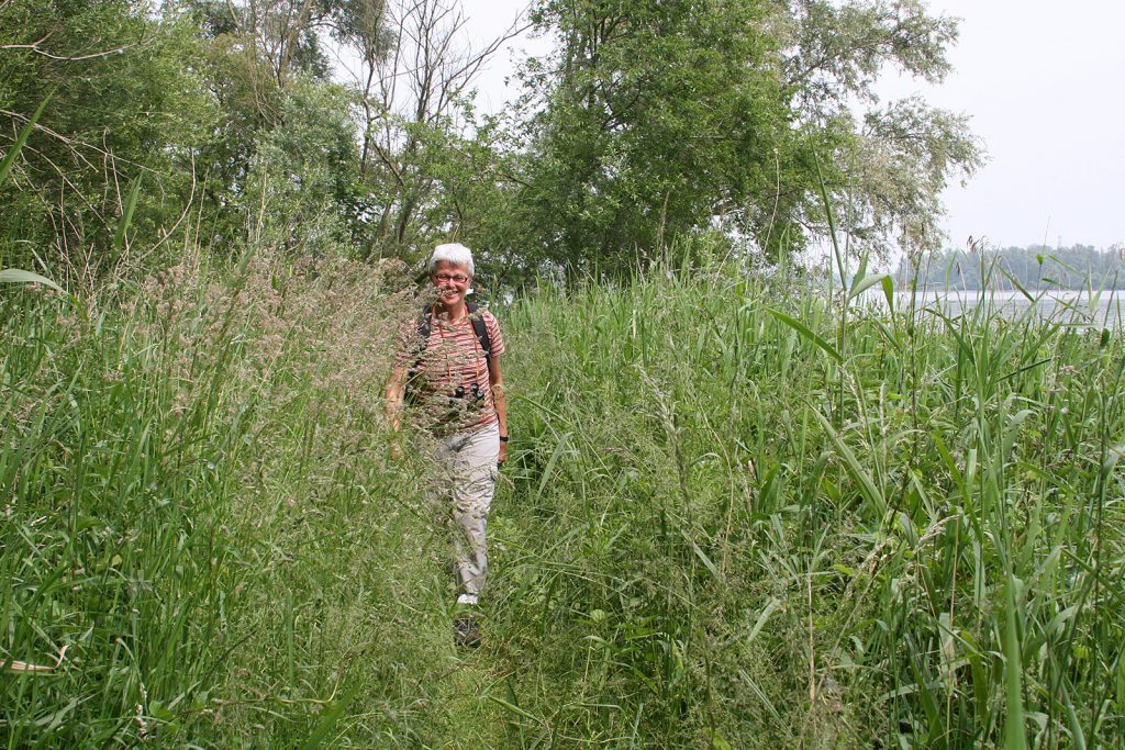 Auf Erkundungstour im Biesbosch