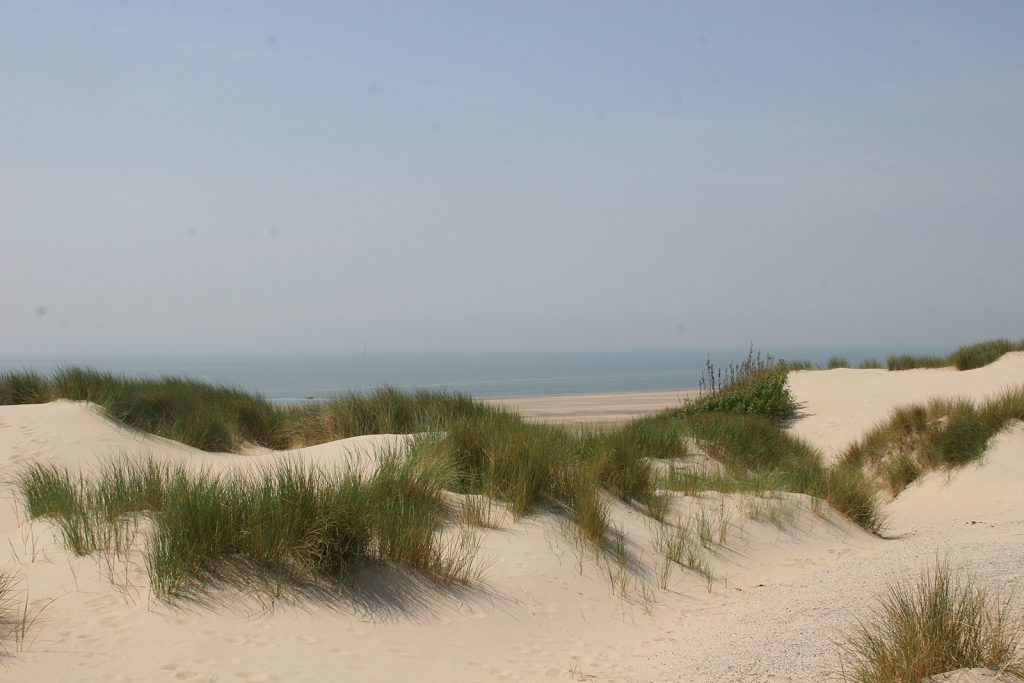 Dünenlandschaft auf der Insel Schouwen-Duiveland