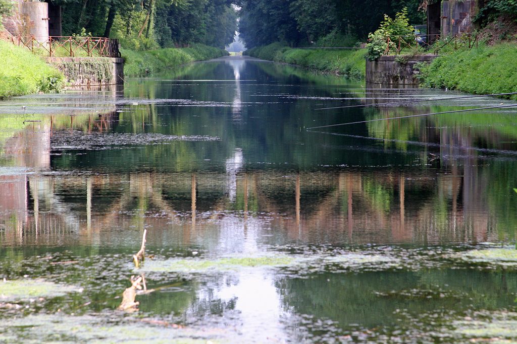 Der alte Canal Pommerœul-Antoing, eine Naturidylle