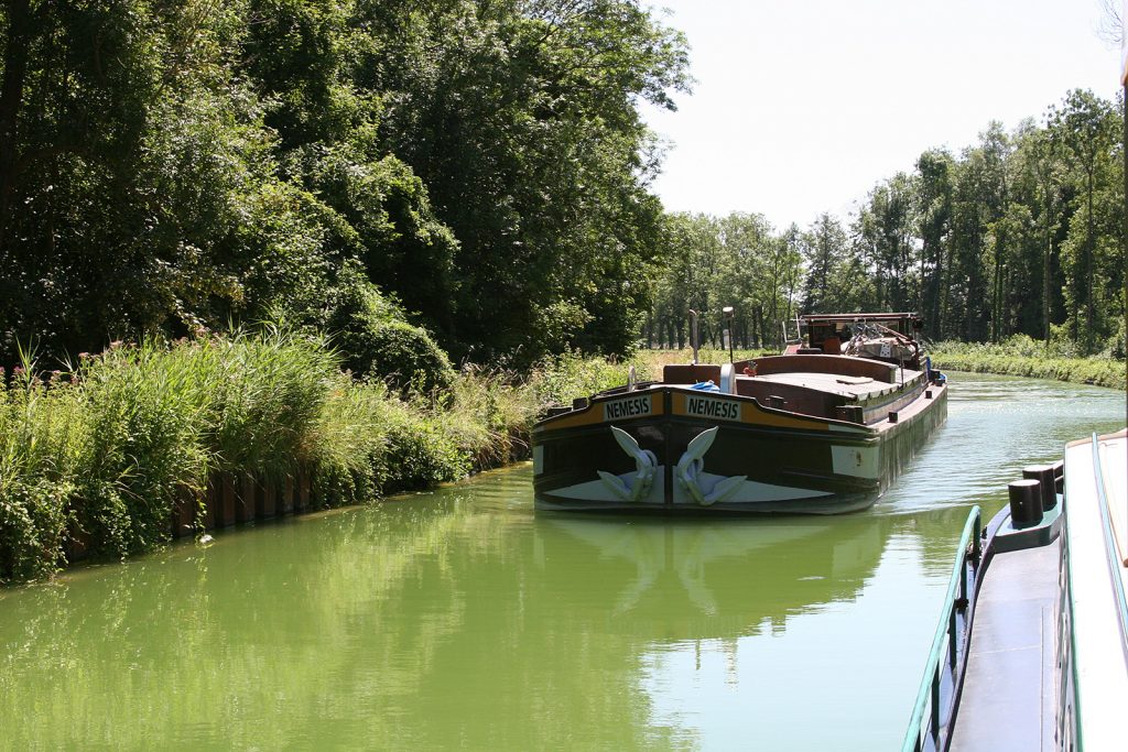 Kreuzungsmanöver im Schneckentempo