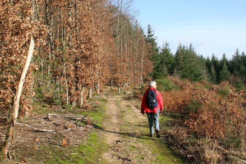 Herbstwanderung bei Roanne