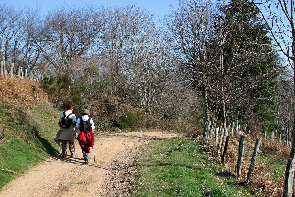 Wandern im einsamen Roannais