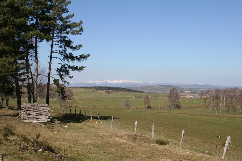 Im französischen Zentralmassiv auf 1300 m.ü.M.