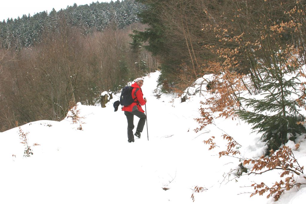 In der Höhe liegt Schnee