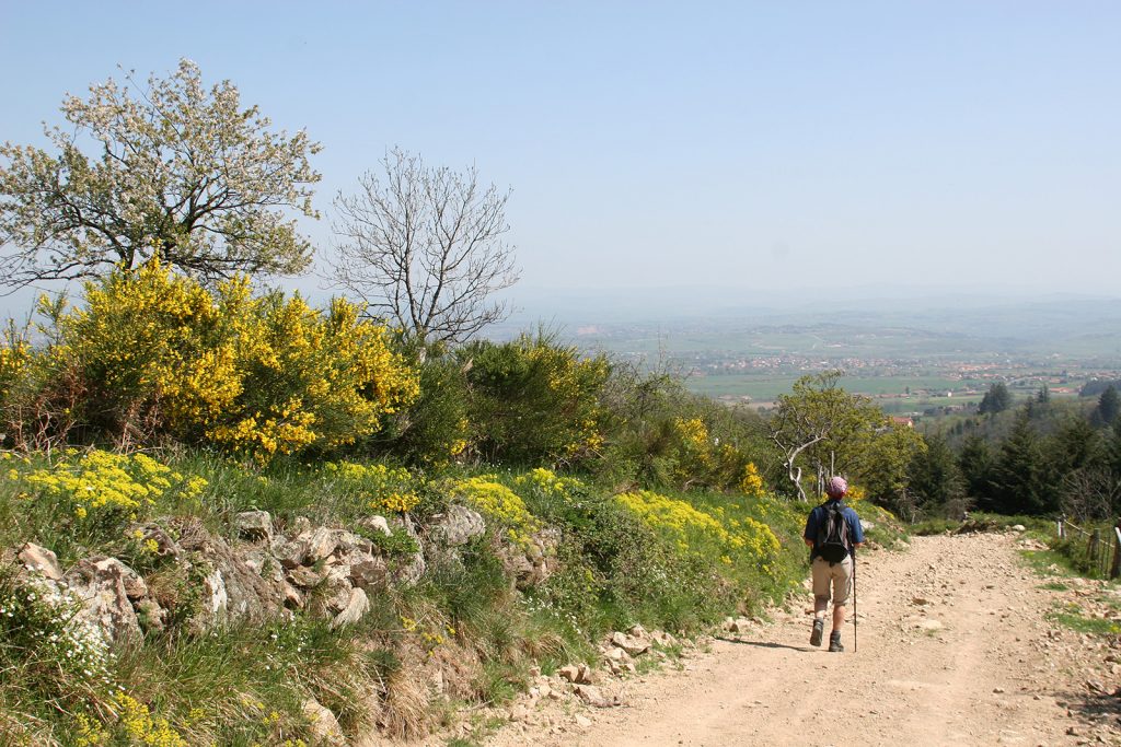 Wandern bei Roanne