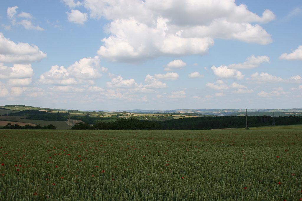 Die unglaubliche Weite des Burgund