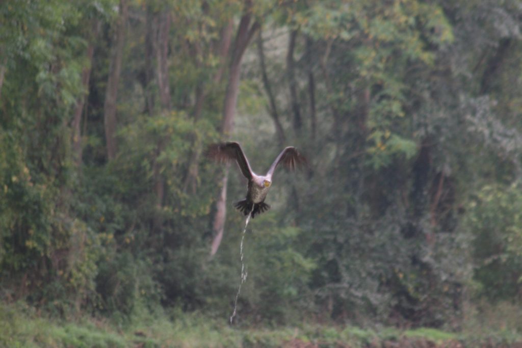 Am Loire-Seitenkanal