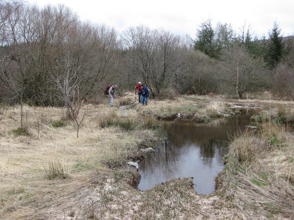 Ein unwegsames Hochmoor