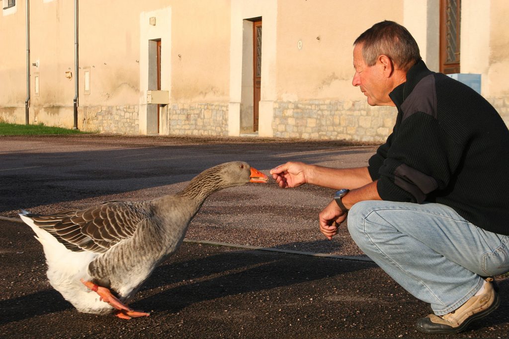 Das Maskottchen der Mietbootbasis in Venarey-les-Laumes