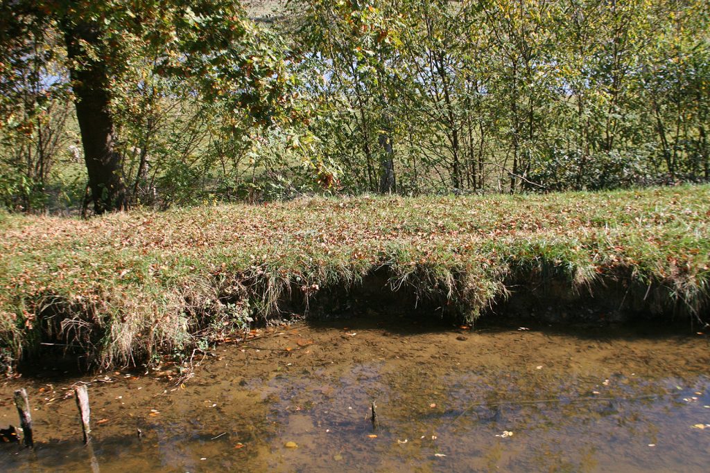 Der erodierte Damm und gleich dahinter die Loire bei Kilometer 42