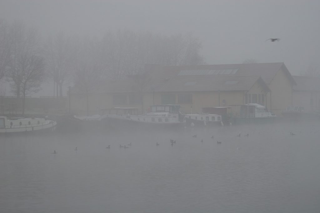 Morgennebel im Hafen