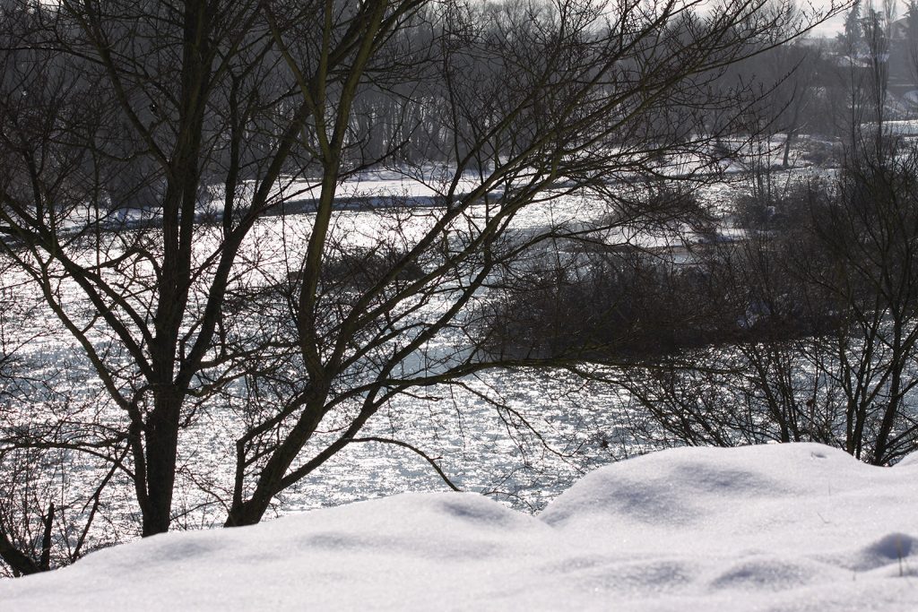 Die Loire im Winterkleid