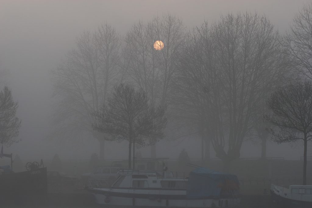 Morgennebel im Hafen von Roanne