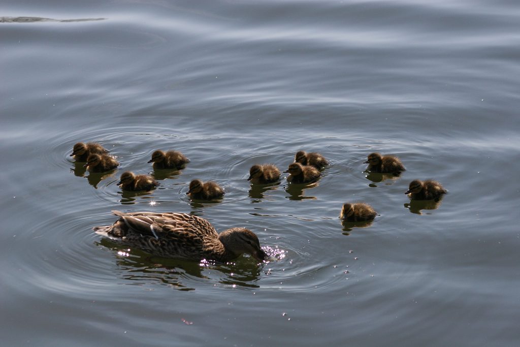 Ostern kündigen sich an