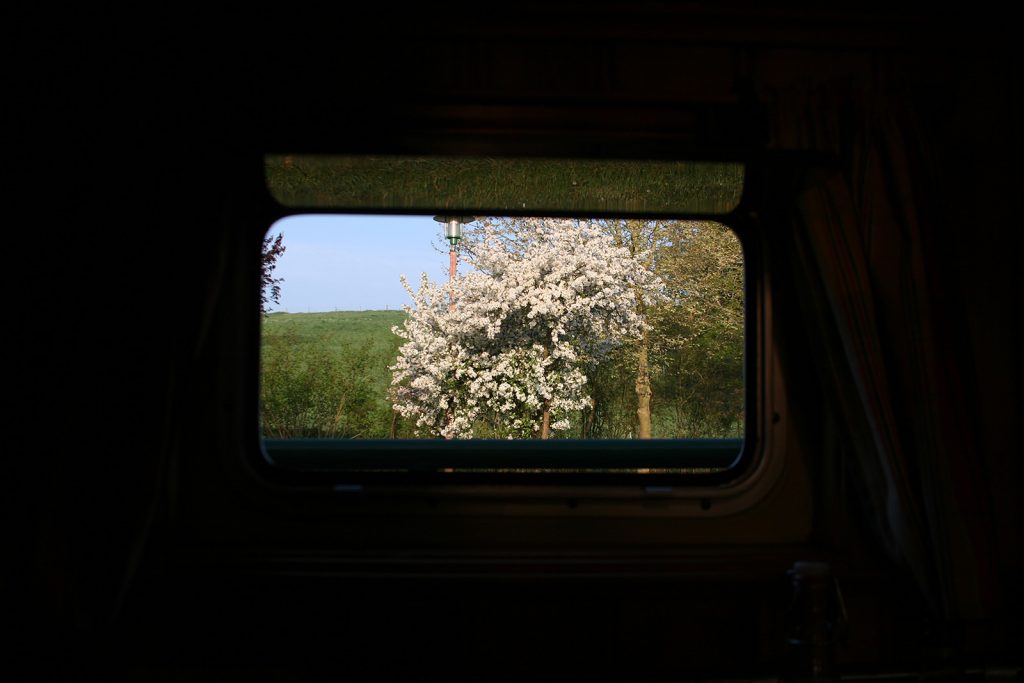 Blick aus dem Schiff