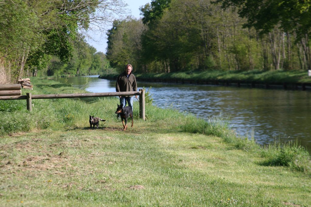 Morgenspaziergang mit Hund und Katze