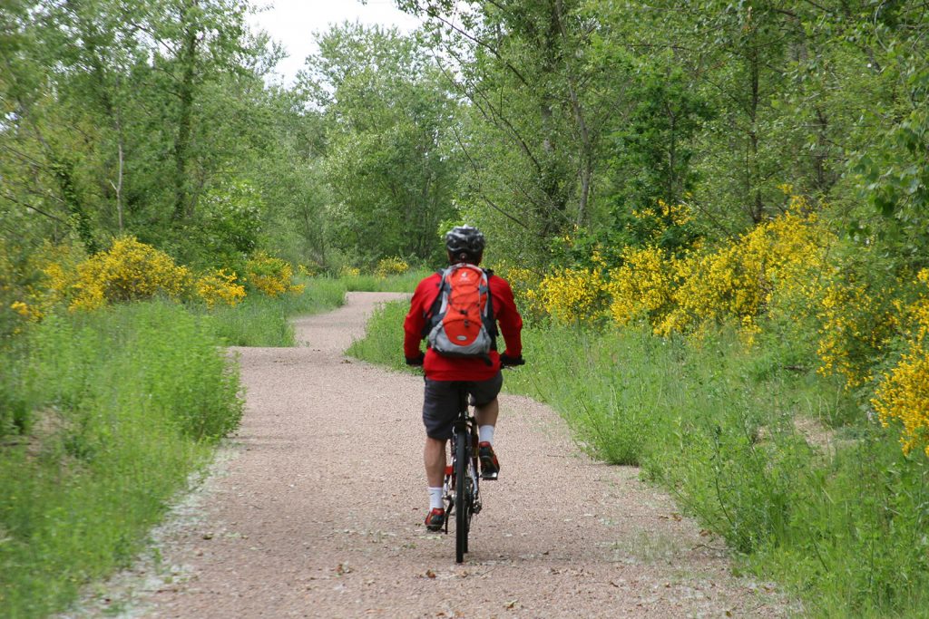 Auf dem Weg zum Spargelbauern