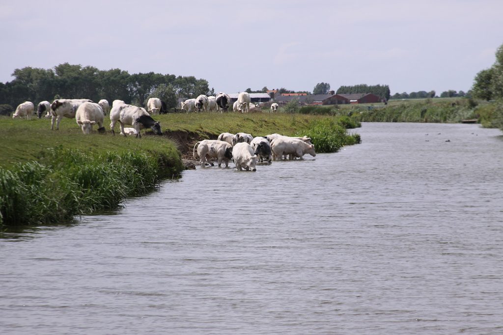 Die Aussicht in Fintéle